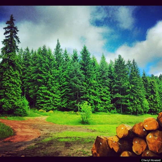 Kalau Tempatnya Kaya Gini, Nggak Ada Internet, Nggak Apa-Apa